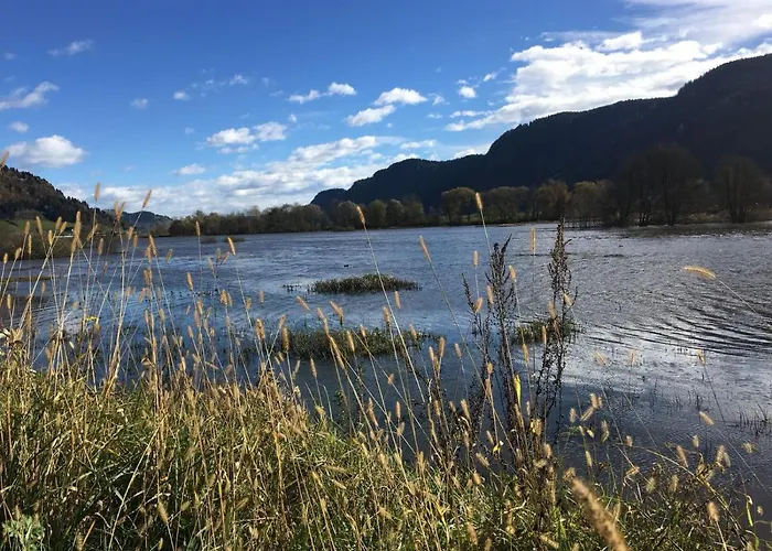 Ruth Haus Kmb Seeblickappartement Am Ossiacher See, Hallenbad, Skiarena Gerlitzen *